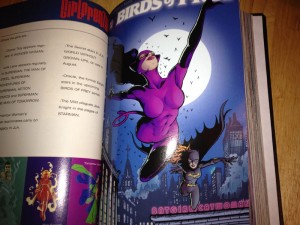 Birds of Prey Interior